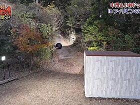 日本深夜综艺节目全面资源的最佳获取方式