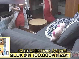 日本综艺版权问题解析:日本综艺在哪个台播放受限?
