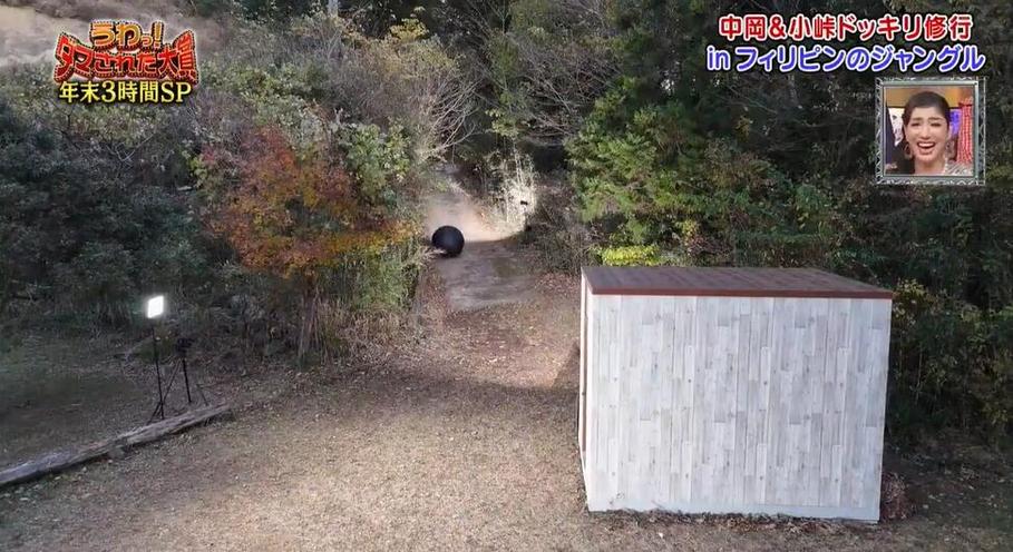 日本综艺明星们私底下是啥样子？